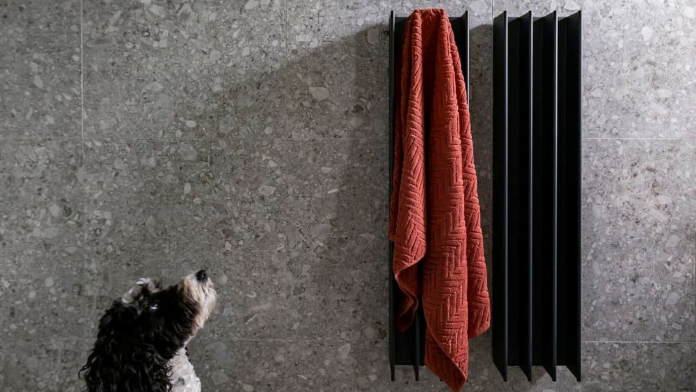dog looking at two gordon heated towel rails